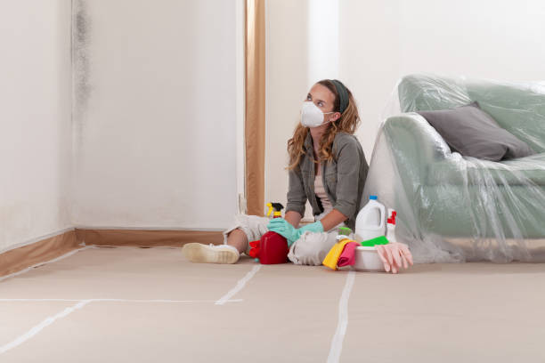 Reliable Mold Testing contractor in Clinton, PA by WQB Mold Removal
